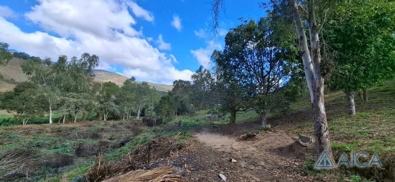 Terreno Residencial à venda em Vale das Videiras, Petrópolis - RJ - Foto 11