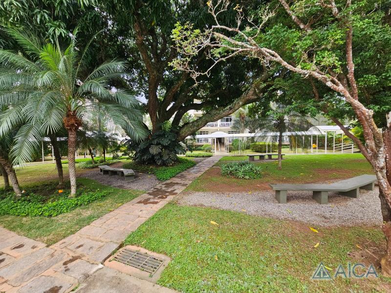 Casa à venda em Nogueira, Petrópolis - RJ - Foto 6