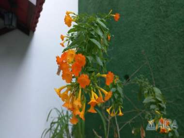 [5884] Casa - Quissamã - Petrópolis/RJ