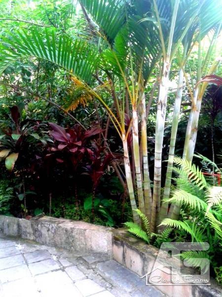 Casa à venda em Corrêas, Petrópolis - RJ - Foto 4