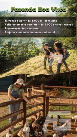 Terreno Residencial à venda em Boa Vista, Paty do Alferes - RJ - Foto 7