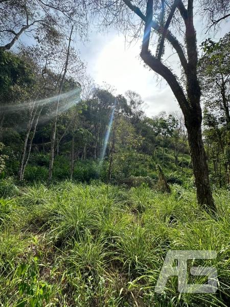Terreno Residencial à venda em Cuiabá, Petrópolis - RJ - Foto 3