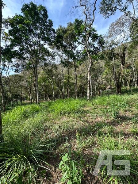 Terreno Residencial à venda em Cuiabá, Petrópolis - RJ - Foto 4