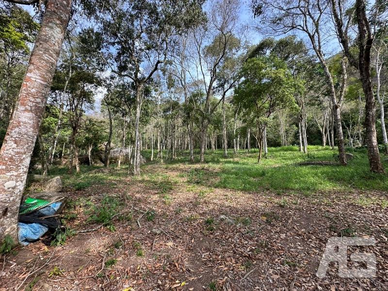 Terreno Residencial à venda em Cuiabá, Petrópolis - RJ - Foto 5