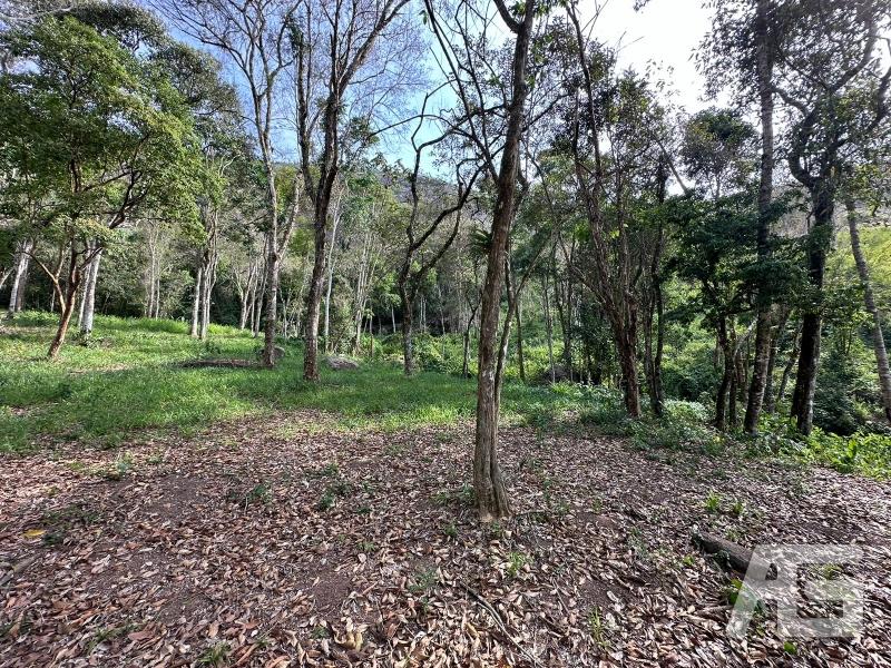 Terreno Residencial à venda em Cuiabá, Petrópolis - RJ - Foto 6