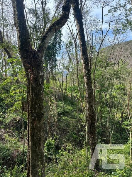 Terreno Residencial à venda em Cuiabá, Petrópolis - RJ - Foto 8