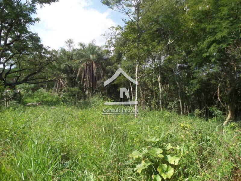 Terreno Residencial em Itaipava Petrópolis