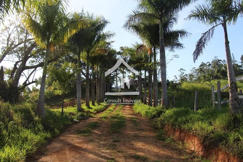 Fazenda / Sítio em Minas Gerais Juiz de Fora