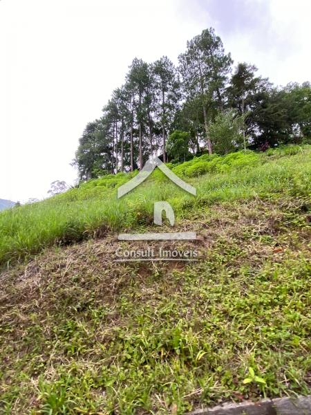 Fazenda / Sítio à venda em Araras, Petrópolis - RJ - Foto 9