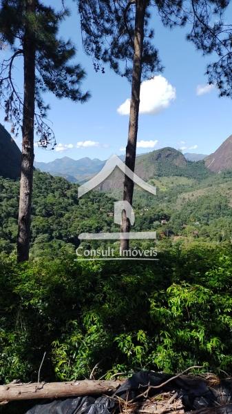 Fazenda / Sítio à venda em Araras, Petrópolis - RJ - Foto 30