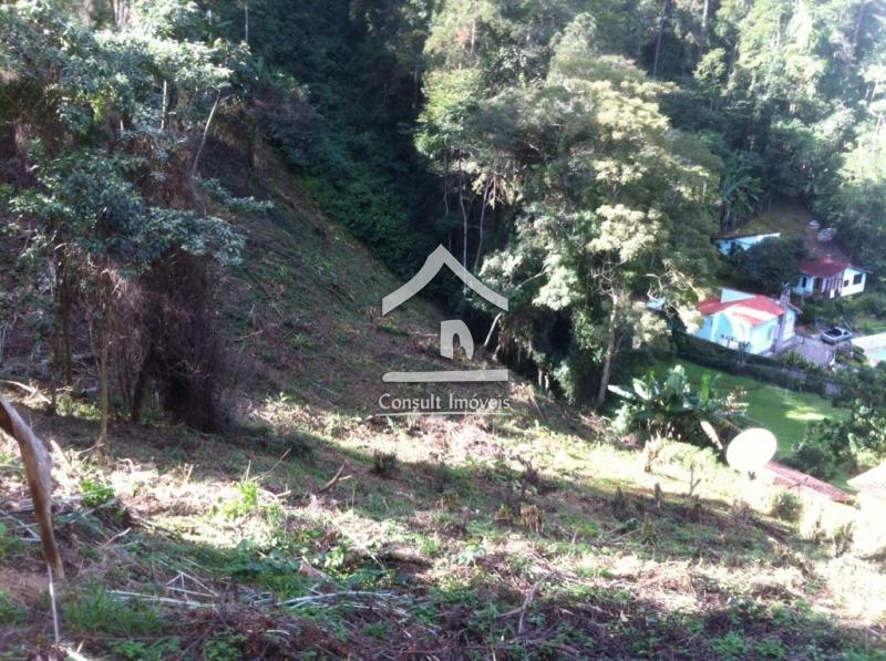Terreno Residencial à venda em Bonsucesso, Petrópolis - RJ - Foto 3