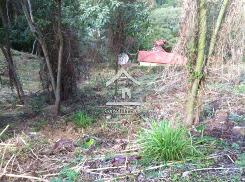Terreno Residencial à venda em Bonsucesso, Petrópolis - RJ - Foto 5
