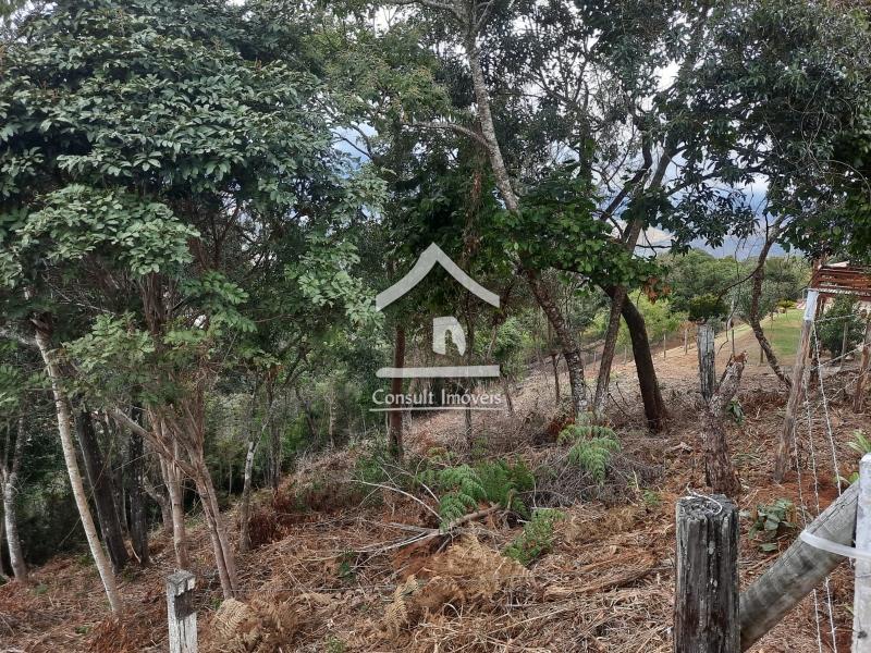 Terreno Residencial à venda em Itaipava, Petrópolis - RJ - Foto 3