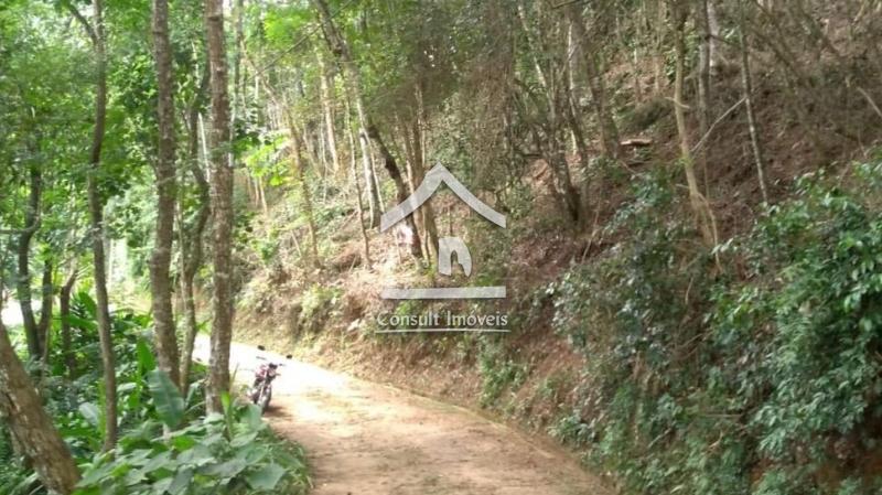 Terreno Residencial à venda em Bonsucesso, Petrópolis - RJ - Foto 2