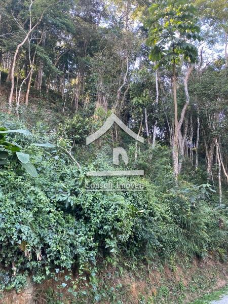 Terreno Residencial à venda em Bonsucesso, Petrópolis - RJ - Foto 1