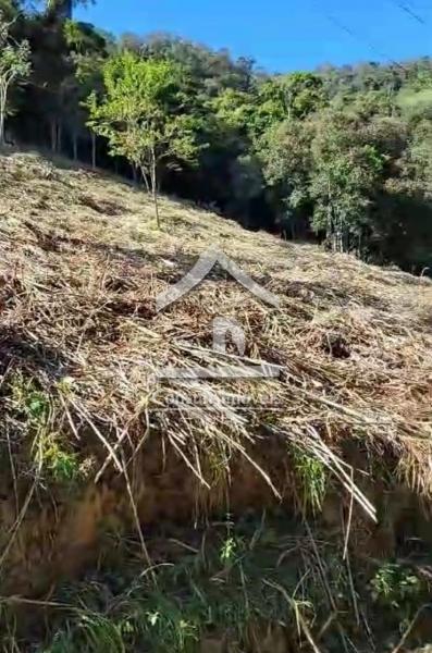 Terreno Residencial à venda em Rio Bonito, Petrópolis - RJ - Foto 2