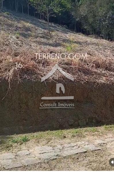 Terreno Residencial à venda em Rio Bonito, Petrópolis - RJ - Foto 4