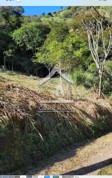 Terreno Residencial à venda em Rio Bonito, Petrópolis - RJ - Foto 7