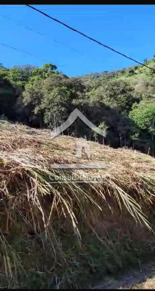 Terreno Residencial à venda em Rio Bonito, Petrópolis - RJ - Foto 8