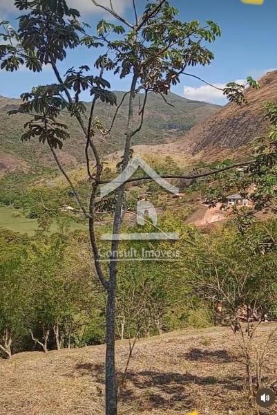 Terreno Residencial à venda em Rio Bonito, Petrópolis - RJ - Foto 11