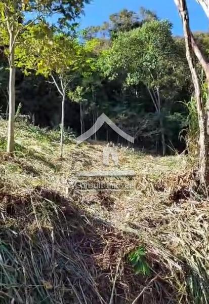 Terreno Residencial à venda em Rio Bonito, Petrópolis - RJ - Foto 10