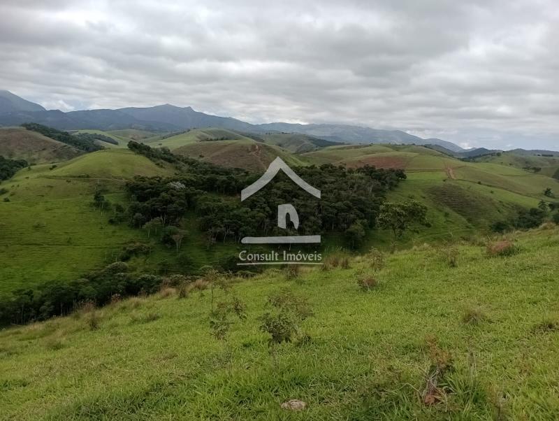 Fazenda / Sítio à venda em SARDOAL -PARAIBA DO SUL, Paraíba do Sul - RJ - Foto 3
