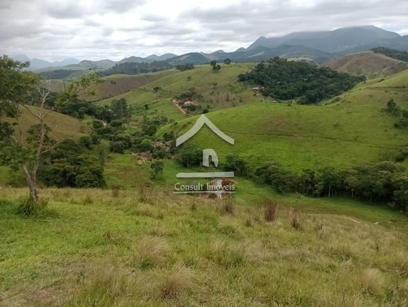 Fazenda / Sítio em SARDOAL -PARAIBA DO SUL  Paraíba do Sul