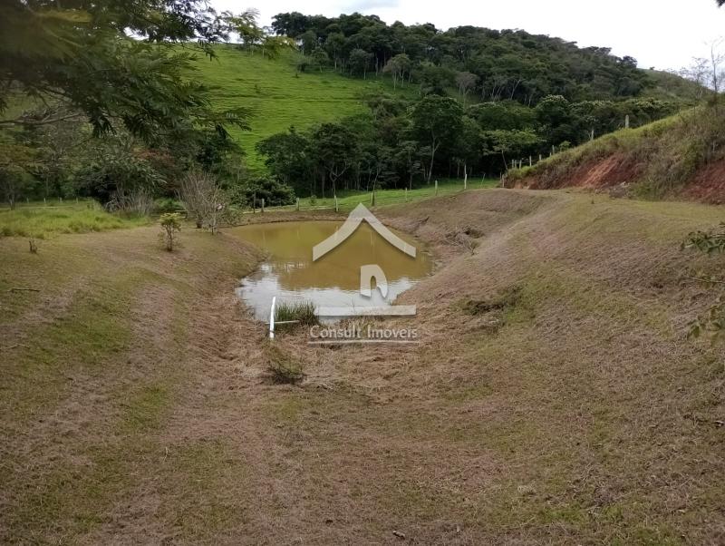 Fazenda / Sítio à venda em SARDOAL -PARAIBA DO SUL, Paraíba do Sul - RJ - Foto 4