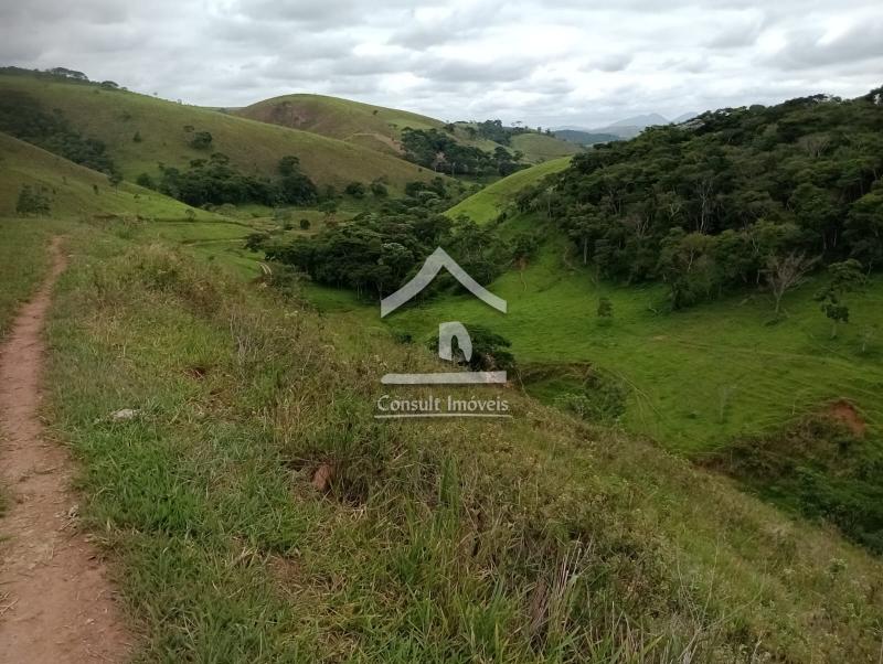 Fazenda / Sítio à venda em SARDOAL -PARAIBA DO SUL, Paraíba do Sul - RJ - Foto 5
