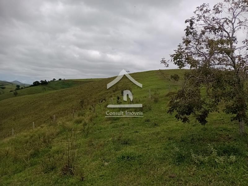 Fazenda / Sítio à venda em SARDOAL -PARAIBA DO SUL, Paraíba do Sul - RJ - Foto 6