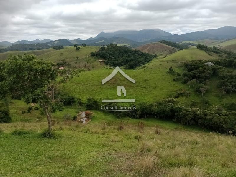 Fazenda / Sítio à venda em SARDOAL -PARAIBA DO SUL, Paraíba do Sul - RJ - Foto 7