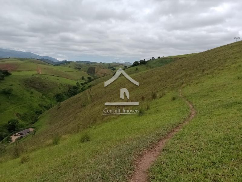 Fazenda / Sítio à venda em SARDOAL -PARAIBA DO SUL, Paraíba do Sul - RJ - Foto 8