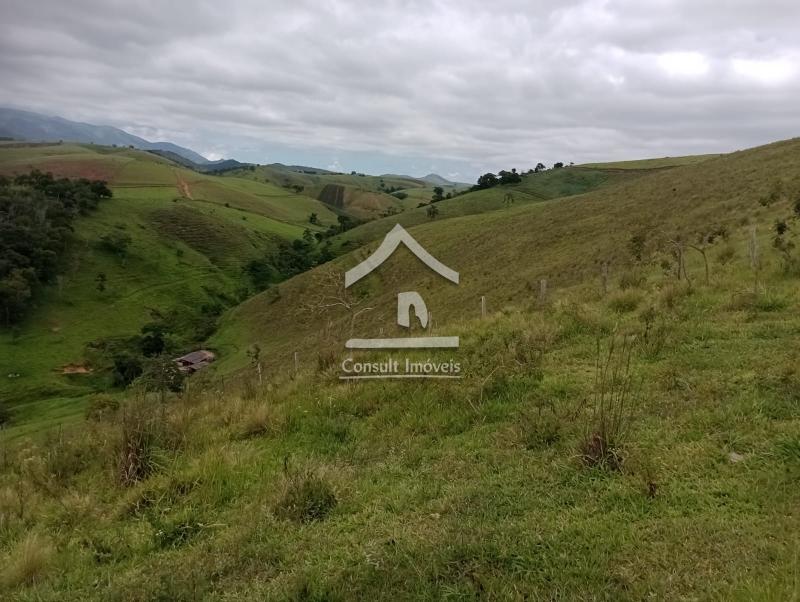 Fazenda / Sítio à venda em SARDOAL -PARAIBA DO SUL, Paraíba do Sul - RJ - Foto 10
