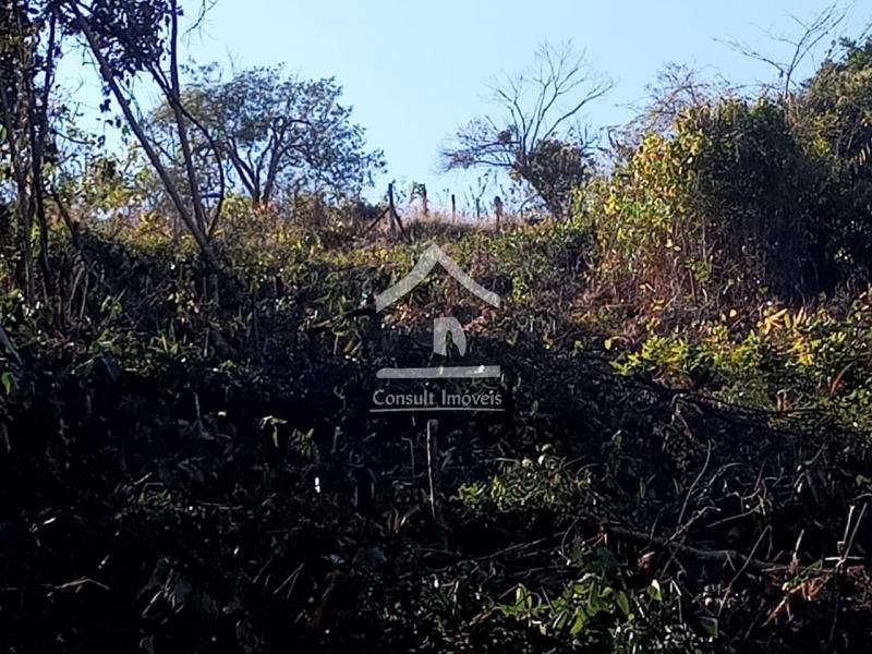 Terreno Residencial à venda em Nogueira, Petrópolis - RJ - Foto 3