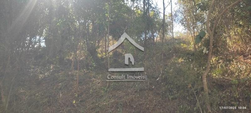 Terreno Residencial à venda em Nogueira, Petrópolis - RJ - Foto 4