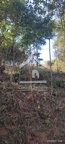 Terreno Residencial à venda em Nogueira, Petrópolis - RJ - Foto 5