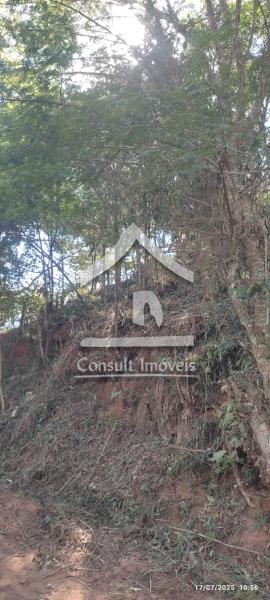Terreno Residencial à venda em Nogueira, Petrópolis - RJ - Foto 6