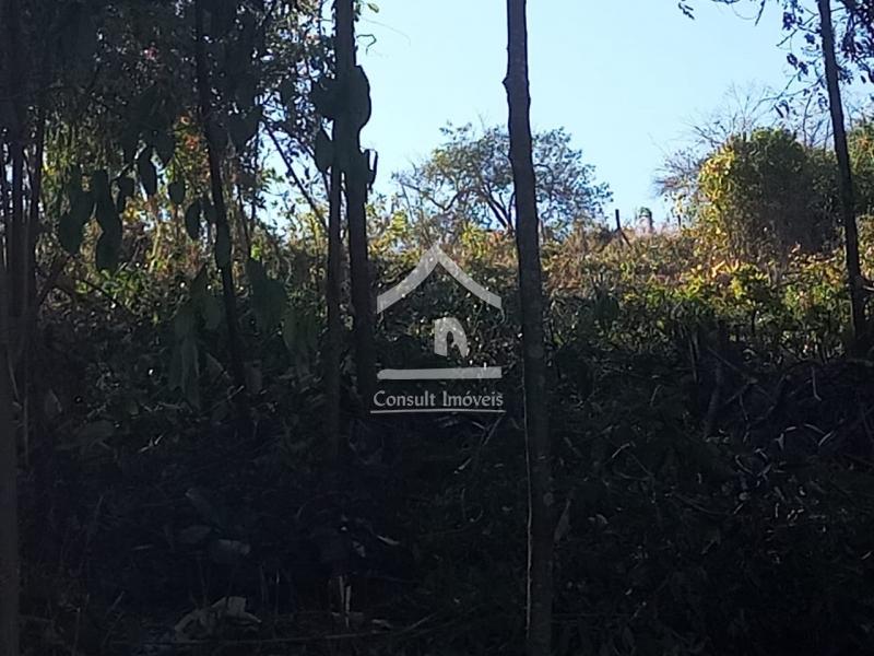 Terreno Residencial à venda em Nogueira, Petrópolis - RJ - Foto 2
