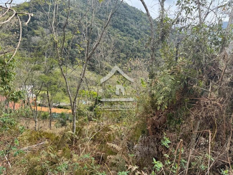Terreno Residencial à venda em Itaipava, Petrópolis - RJ - Foto 2