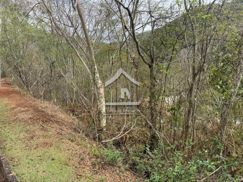 Terreno Residencial à venda em Itaipava, Petrópolis - RJ - Foto 3