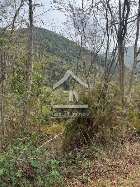 Terreno Residencial à venda em Itaipava, Petrópolis - RJ - Foto 5