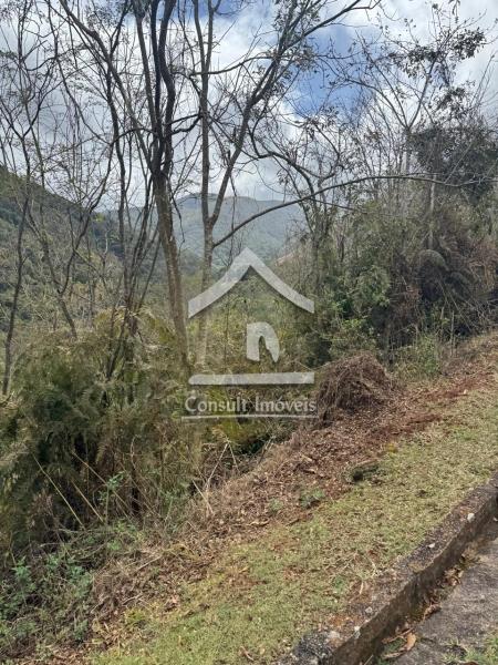 Terreno Residencial à venda em Itaipava, Petrópolis - RJ - Foto 6