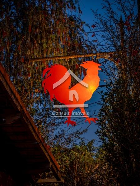 Imóvel Comercial à venda em Itaipava, Petrópolis - RJ - Foto 47