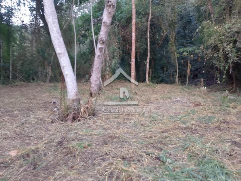 Terreno Residencial à venda em Itaipava, Petrópolis - RJ - Foto 2