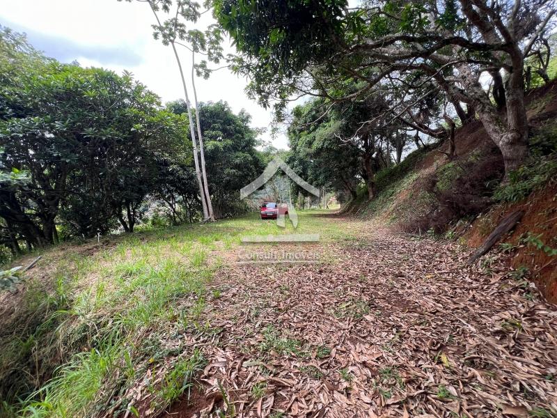 Terreno Residencial à venda em Itaipava, Petrópolis - RJ - Foto 4