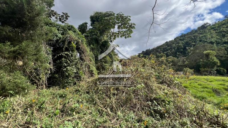 Terreno Residencial à venda em Pedro do Rio, Petrópolis - RJ - Foto 10