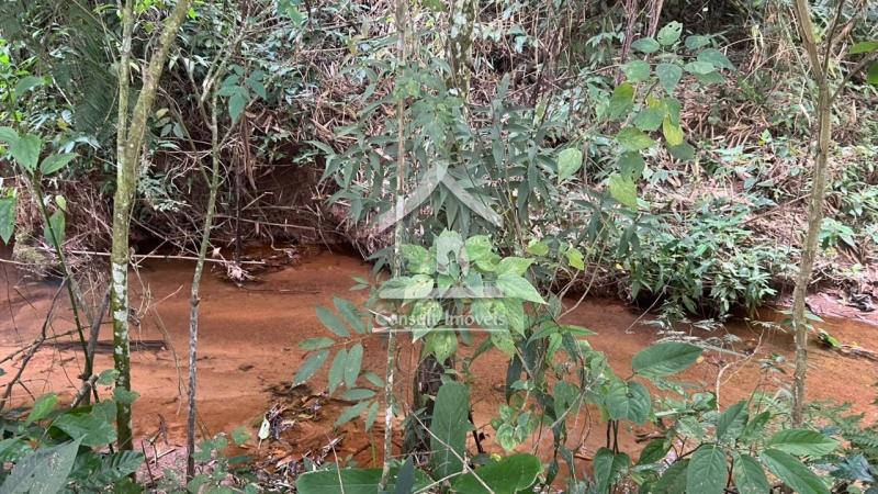 Terreno Residencial à venda em Pedro do Rio, Petrópolis - RJ - Foto 6
