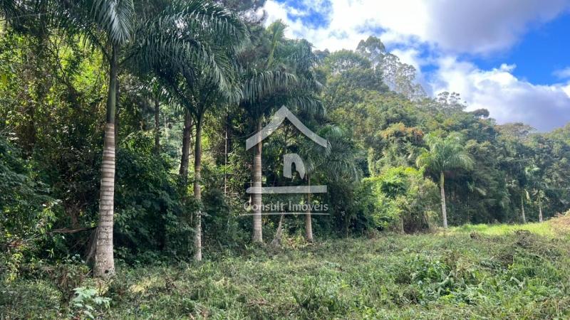 Terreno Residencial à venda em Pedro do Rio, Petrópolis - RJ - Foto 4