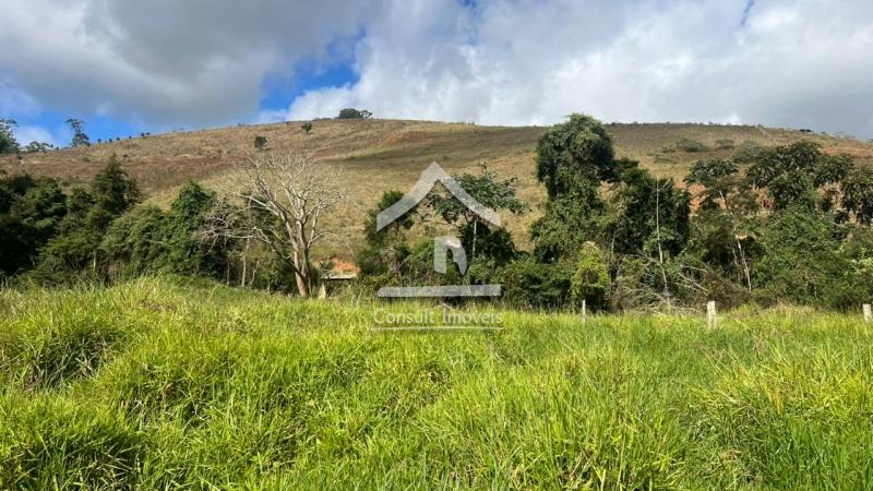 Terreno Residencial à venda em Pedro do Rio, Petrópolis - RJ - Foto 2