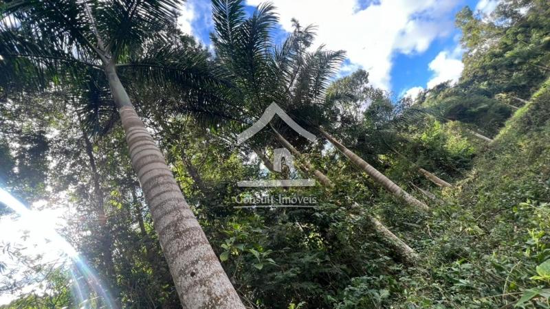 Terreno Residencial à venda em Pedro do Rio, Petrópolis - RJ - Foto 11